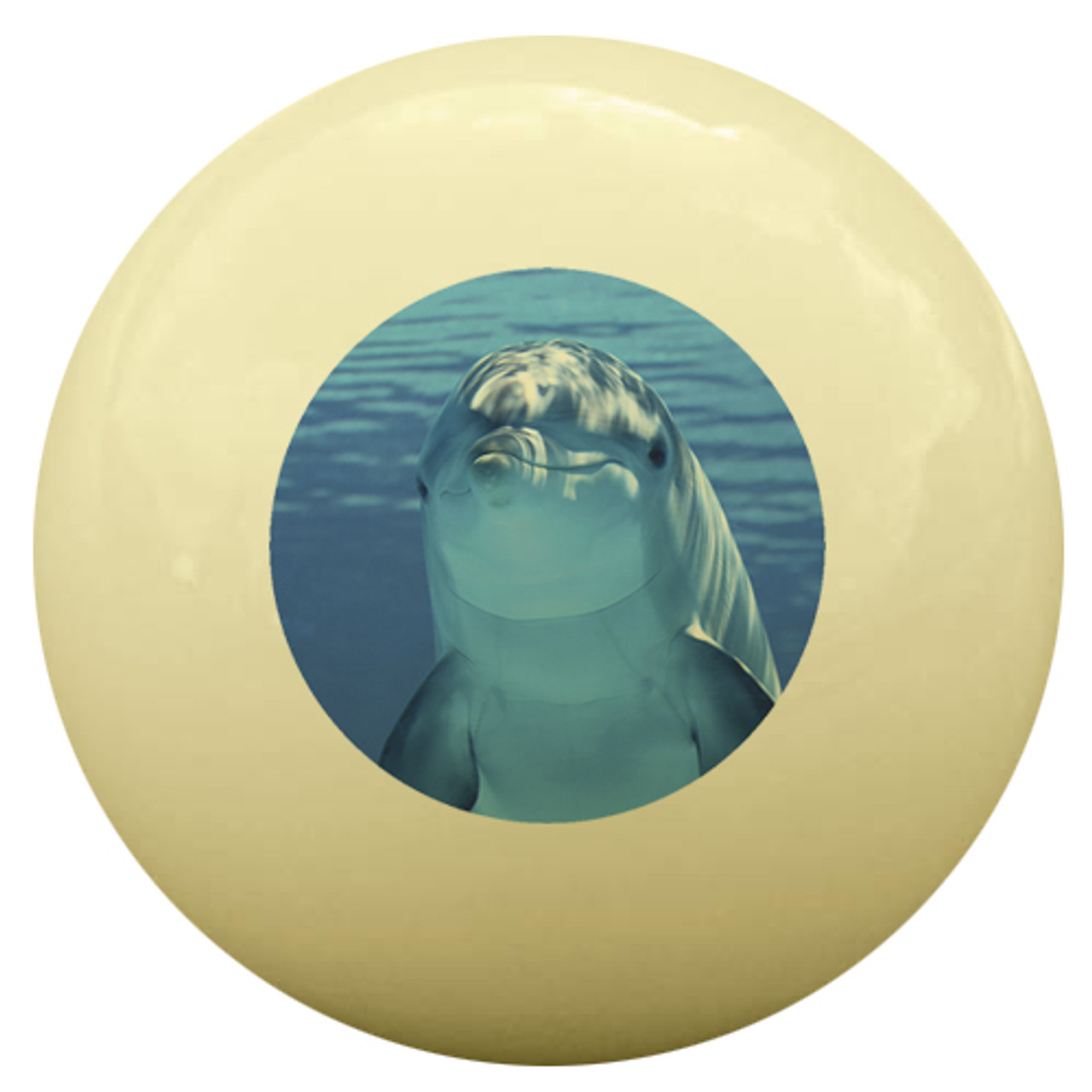 Happy Dolphin Cue Ball