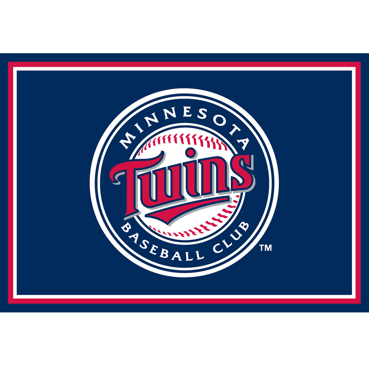 Minnesota Twins 3 x 4 ft Area Rug