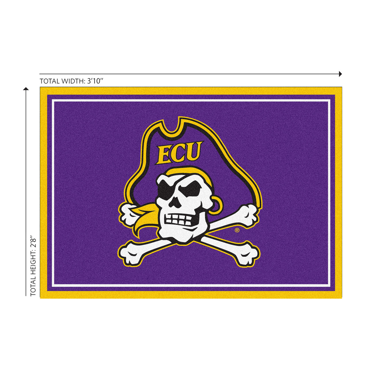 Eastern Carolina Pirates 3 x 4 ft Area Rug