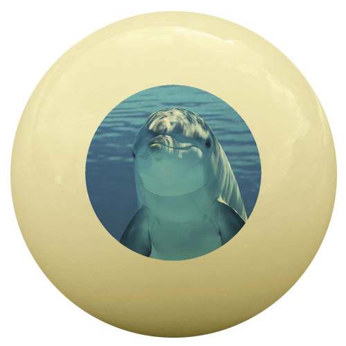 Happy Dolphin Cue Ball