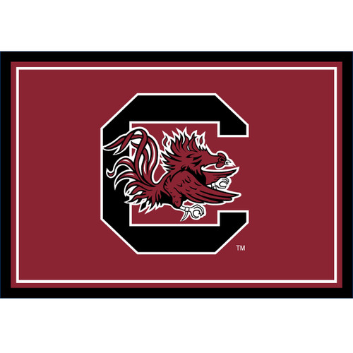 South Carolina Gamecocks 3 x 4 ft Area Rug