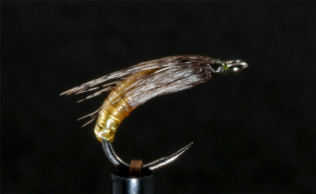 THE GRAPHIC CADDIS – BY DARRYL MOONEY