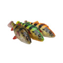 Savage Gear 4D Perch Shad 12.5cm