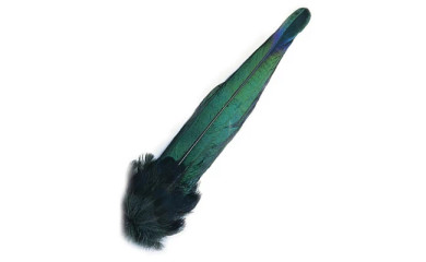 Veniard Whole Magpie Tail