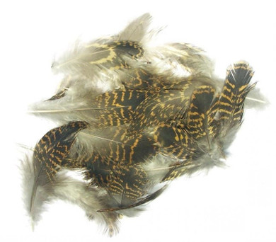 2g Grouse Body Plumage