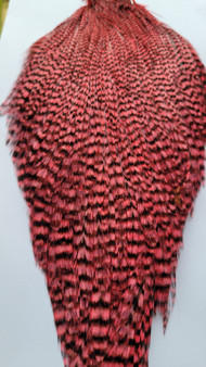 Chevron Grade 1 Cock Cape - Grizzly Pink