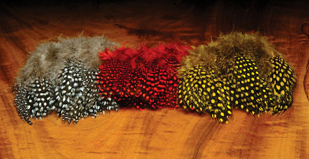 Guinea Fowl Feathers