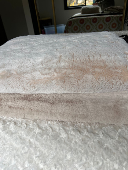 Winter Rabbit (40 x 60)