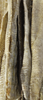 Icelandic+ Cod Long Skin Strip (approx. 20" long)