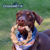 Dogginstix Braided Lamb Collagen Ring