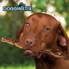 Dogginstix Braided Beef Tripe 12"