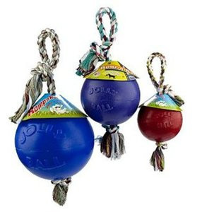 Jolly Pets Romp 'N Roll