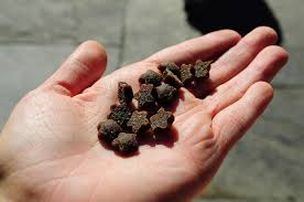 Merrick Power Bite Treats (6 oz.)