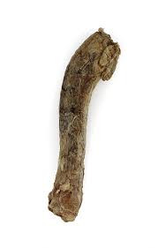 Freeze Dried Turkey Neck