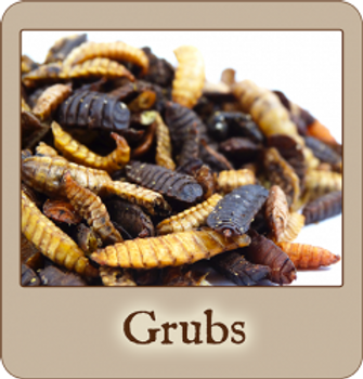 Scratch and Peck Cluckin' Good Grubs (Choose size to view pricing) Scratch and Peck Cluckin' Good Grubs (Choose size to view pricing)