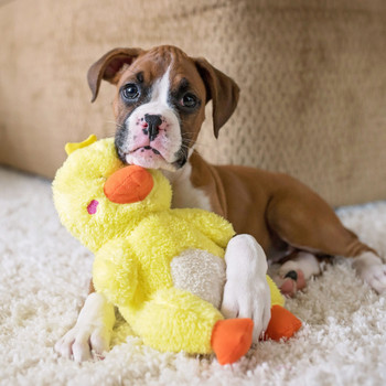 Zippy Paws Cheeky Chumz Duck