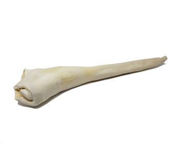 Home Range Full Length Bull Tail (stuffed)