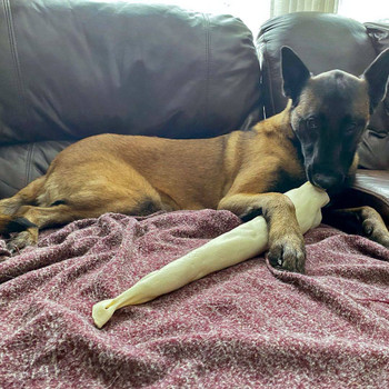 Home Range Full Length Bull Tail (stuffed)