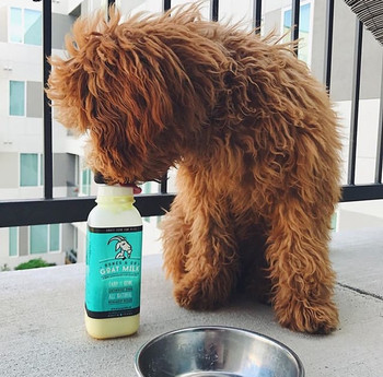 Bones & Co. Frozen Goat Milk (Choose size to view price)