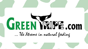 Greentripe.com