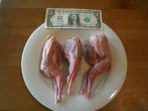 Whole Quail Tray Pack (6 birds per tray pack), 26 oz.