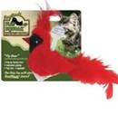 Play -N- Squeak RealBirds "Fly Over" with Catnip