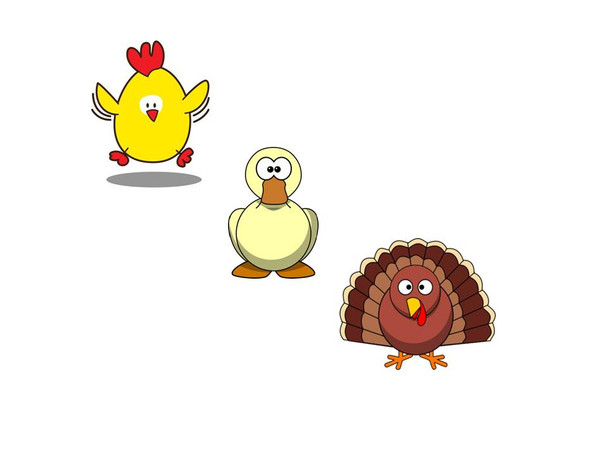Special Grind #2:  Chicken/Duck/Turkey, 4 lb. bag