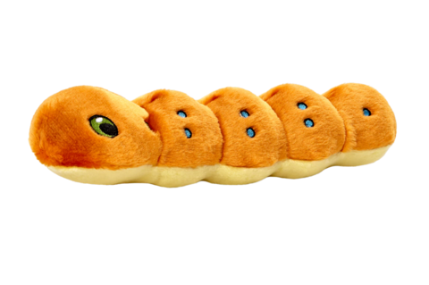 Fluff & Tuff Spicy Catepillar