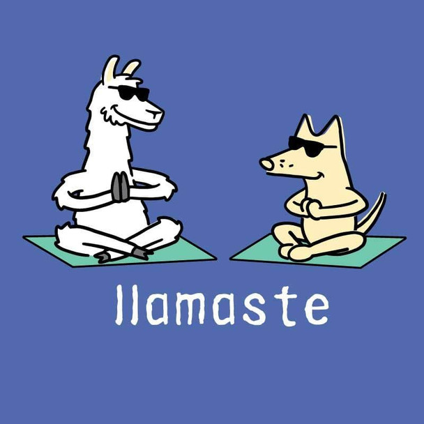 Teddy the Dog Tshirt - Llamaste