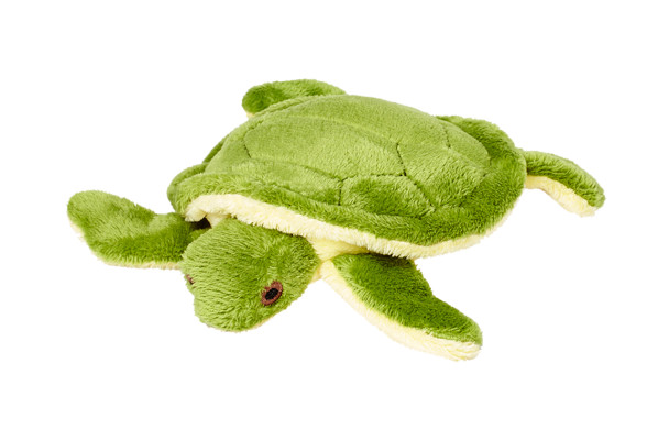 Fluff  & Tuff Shelly Turtle