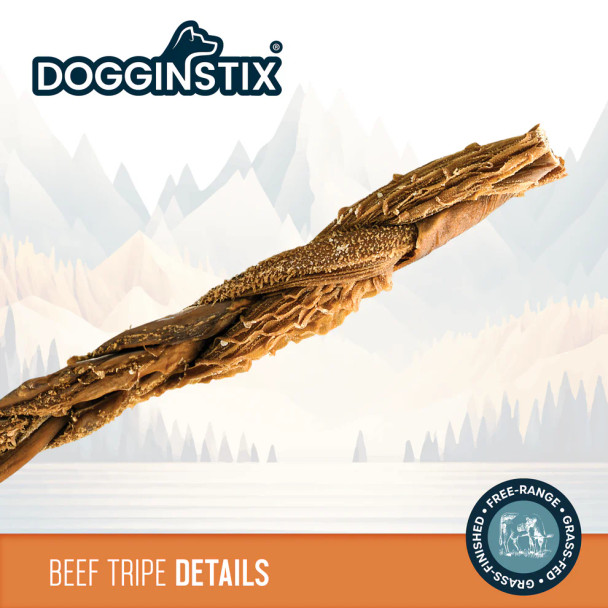 Dogginstix Braided Beef Tripe 12"