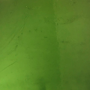 Sheet Glass - 653 Forest Green