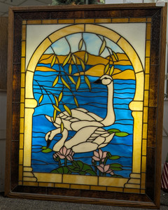 Swan Panel in Light Box Back Lit Swan Panel in Light Box Back Lit