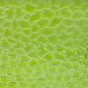 Products - Hobbyists - Sheet Glass - Single Color - Green - Kokomo