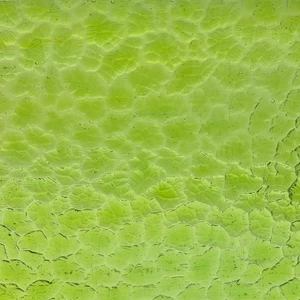 Meadow Wavolite