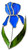 Blue iris with green leaves art glass suncatcher Blue iris with green leaves art glass suncatcher