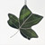 Tulip Tree (Yellow-Poplar) Leaf Art Glass Suncatcher in Green