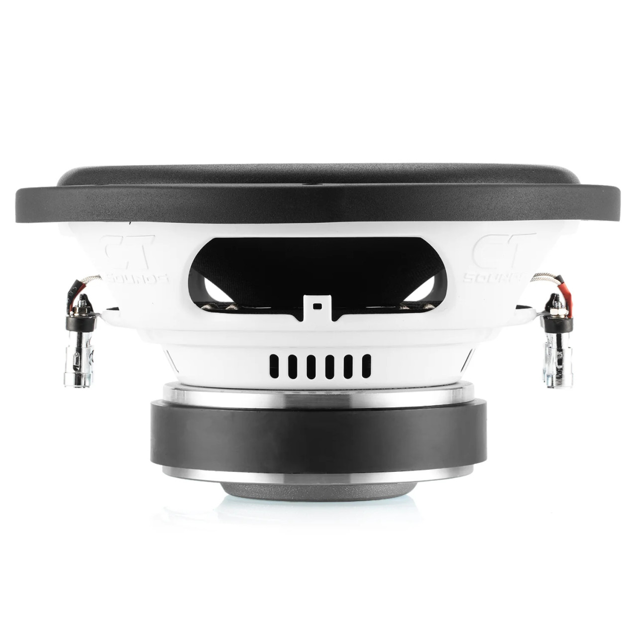 CT Sounds BIO-12 12