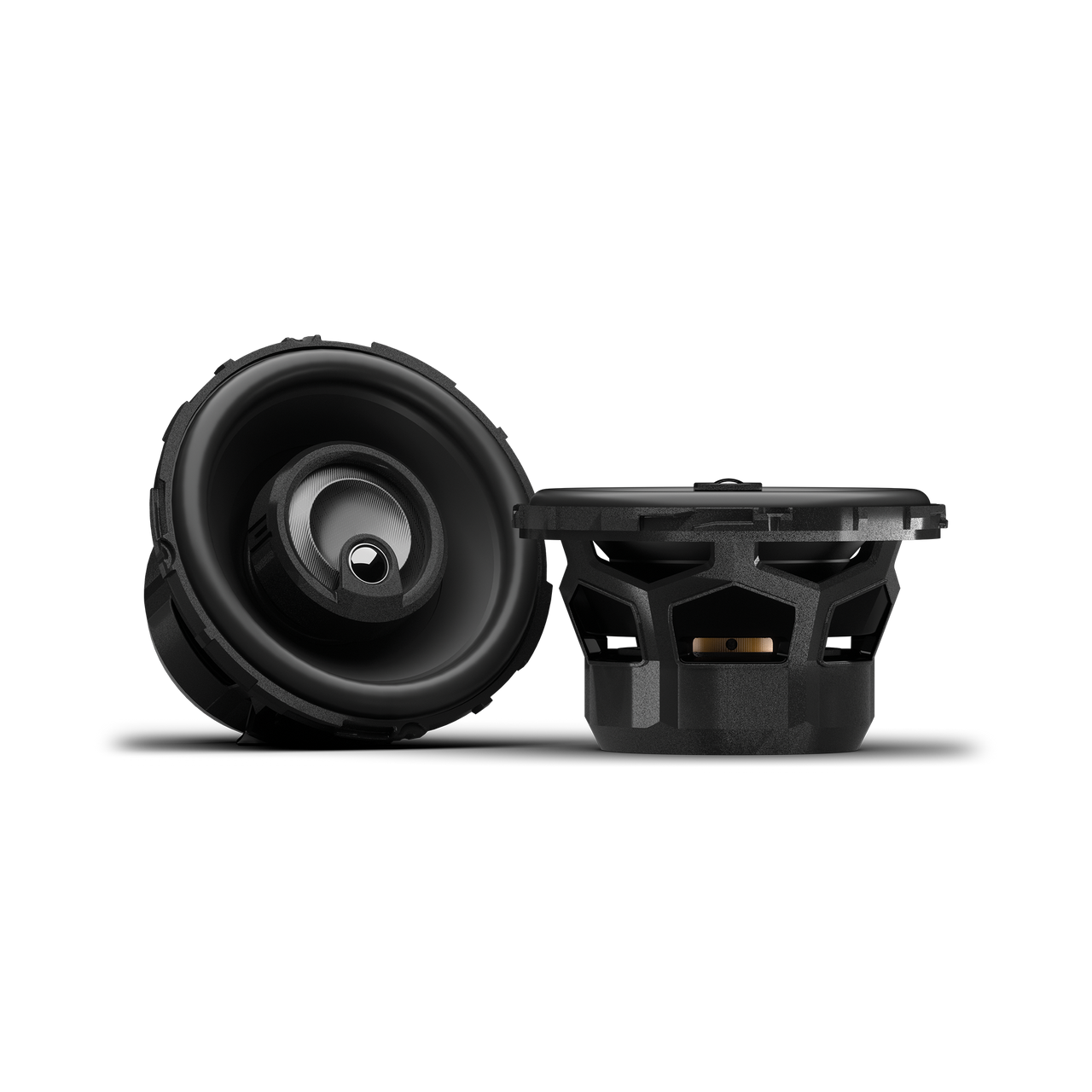 Rockford Fosgate P1V2-25 2.5