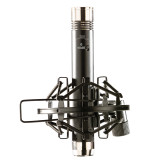 Apex Electronics APEX485B Matched Pair Pencil Condenser Microphone