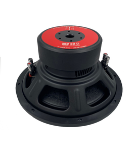 Subwoofer 10 inch acr Clearance