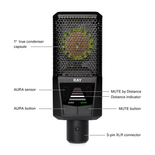 Lewitt Audio RAY XLR Condenser Studio Microphone with Aura Technology