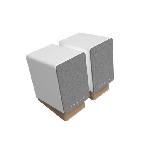 Onkyo Creator Series GX-10DB Powered Monitors - Pair