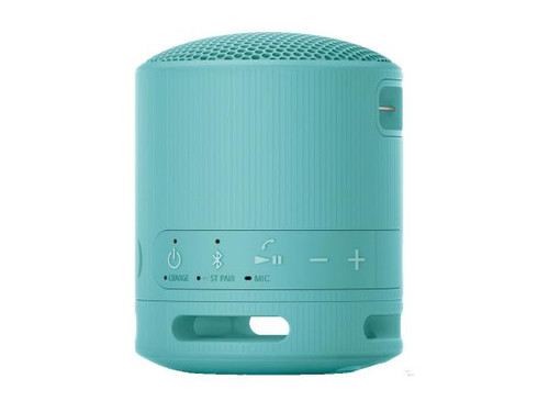 Sony SRS-XB100 Wireless Portable Bluetooth Speaker