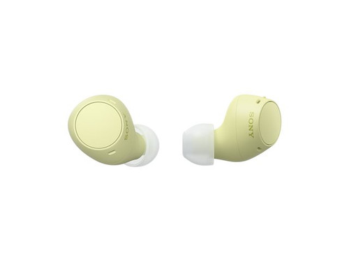 Sony WF-C510 Truly Wireless Earbuds