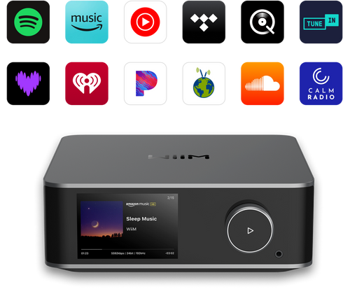 WiiM Ultra Digital Media Player 