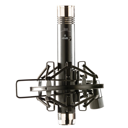 Apex Electronics APEX485B Matched Pair Pencil Condenser Microphone