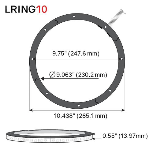 DS18 LRING10 10" RGB LED Ring for Speaker and Subwoofers