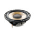 Focal P 25 FSE Expert Flax Evo Series 10" 200W RMS Shallow-Mount Subwoofer - SVC 4 Ohm 