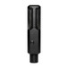 Lewitt Audio LCT640 TS 1" True Condenser Multi-Pattern Studio Microphone